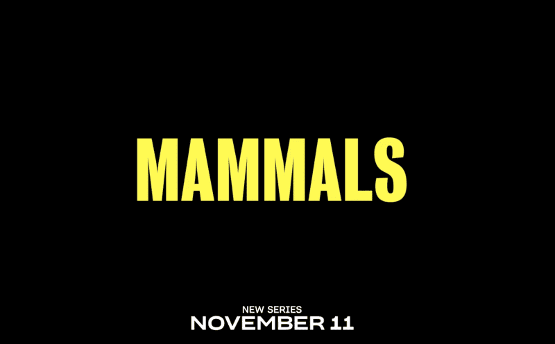 ‘Mammals’ with Samuel Anderson, Naoko Mori & Megan Pemberton